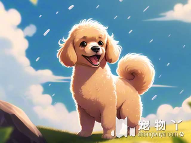 柴犬和秋田犬对比，截然不同！谁更值得养？